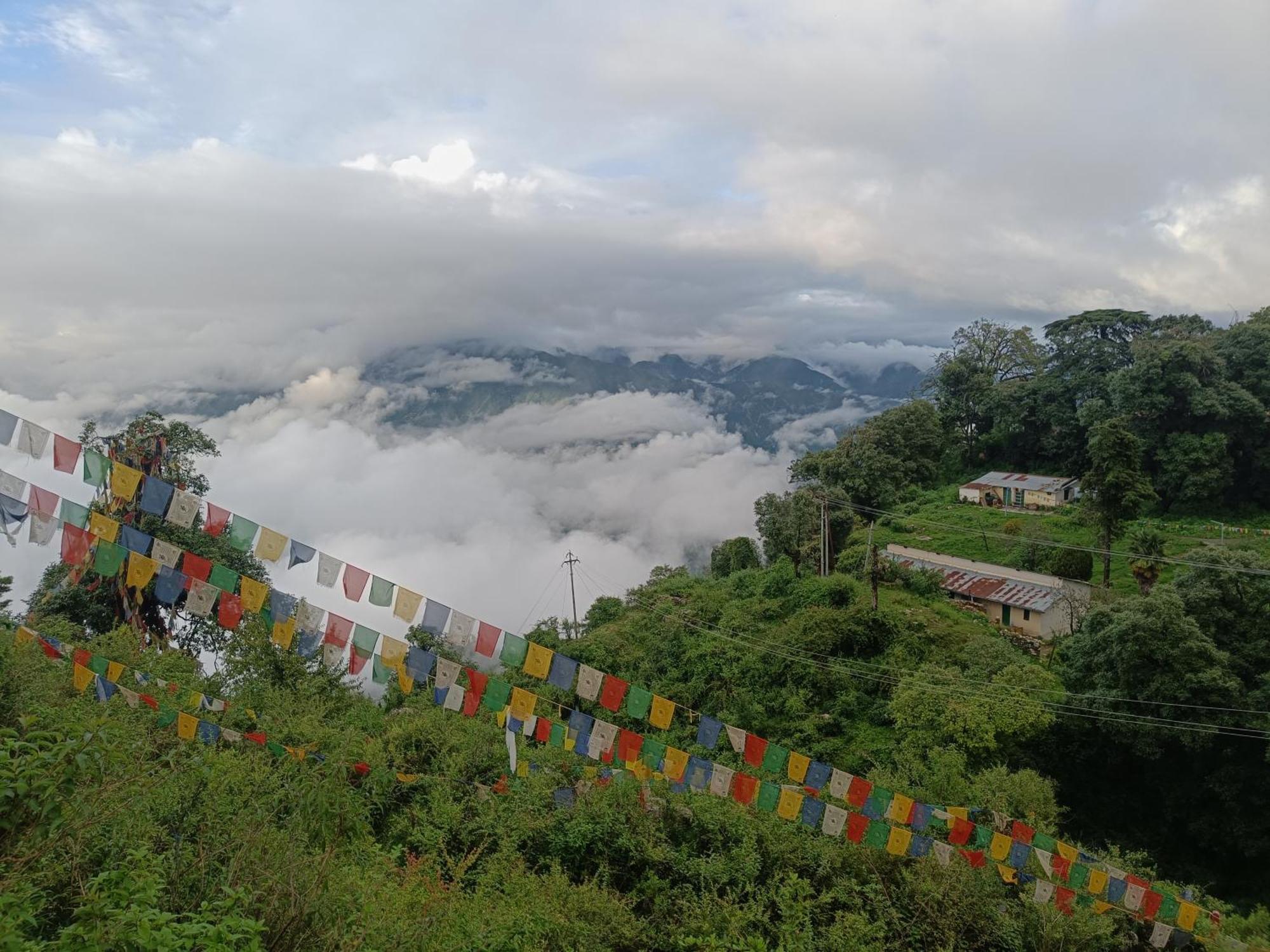 The Sapling Manor Otel Mussoorie Dış mekan fotoğraf